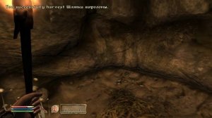 The Elder Scrolls IV (МС) часть 2