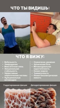 Бесплатный мини-курс по осанке и функциональным тренировкам True Motion