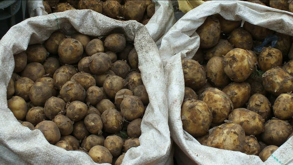 Экс-прокурора приговорили за взятку в размере 50 мешков картошки