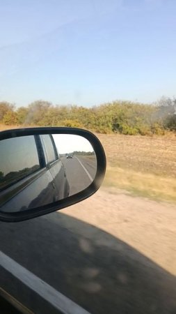 Дорога.