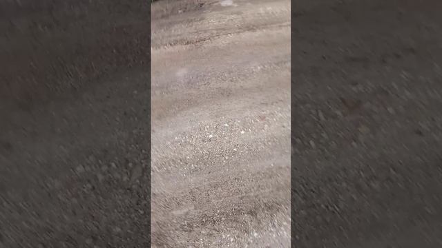 Хожу по своему переулку