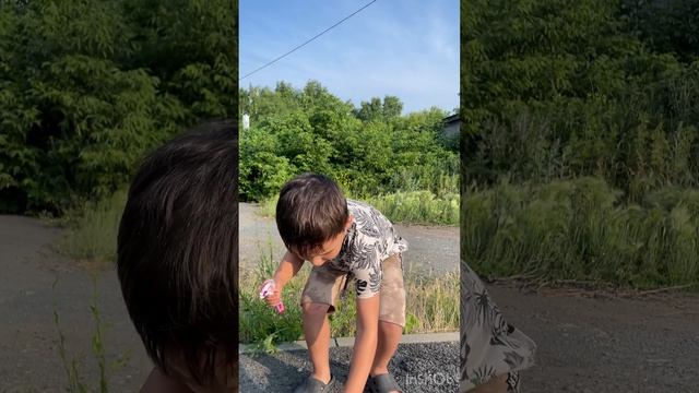 Эксперимент в колой и ментосом