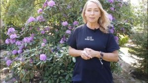 . Век собачий короток. ПРОЩАЕМСЯ С ДРУГОМ.