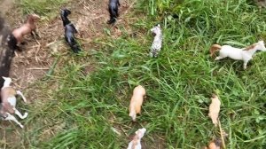 Сериал шляйх / 2 серия/
,, Не такой как все "