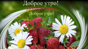 С добрым летним утром!