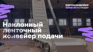 Наклонный ленточный конвейер подачи продукции на вертикальный упаковщик