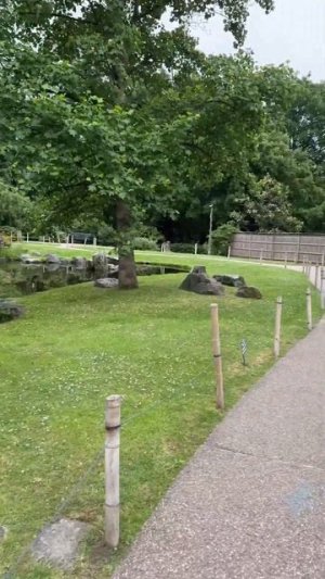 KYOTO GARDEN