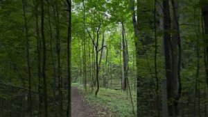 Шуваловский парк Санкт-Петербург