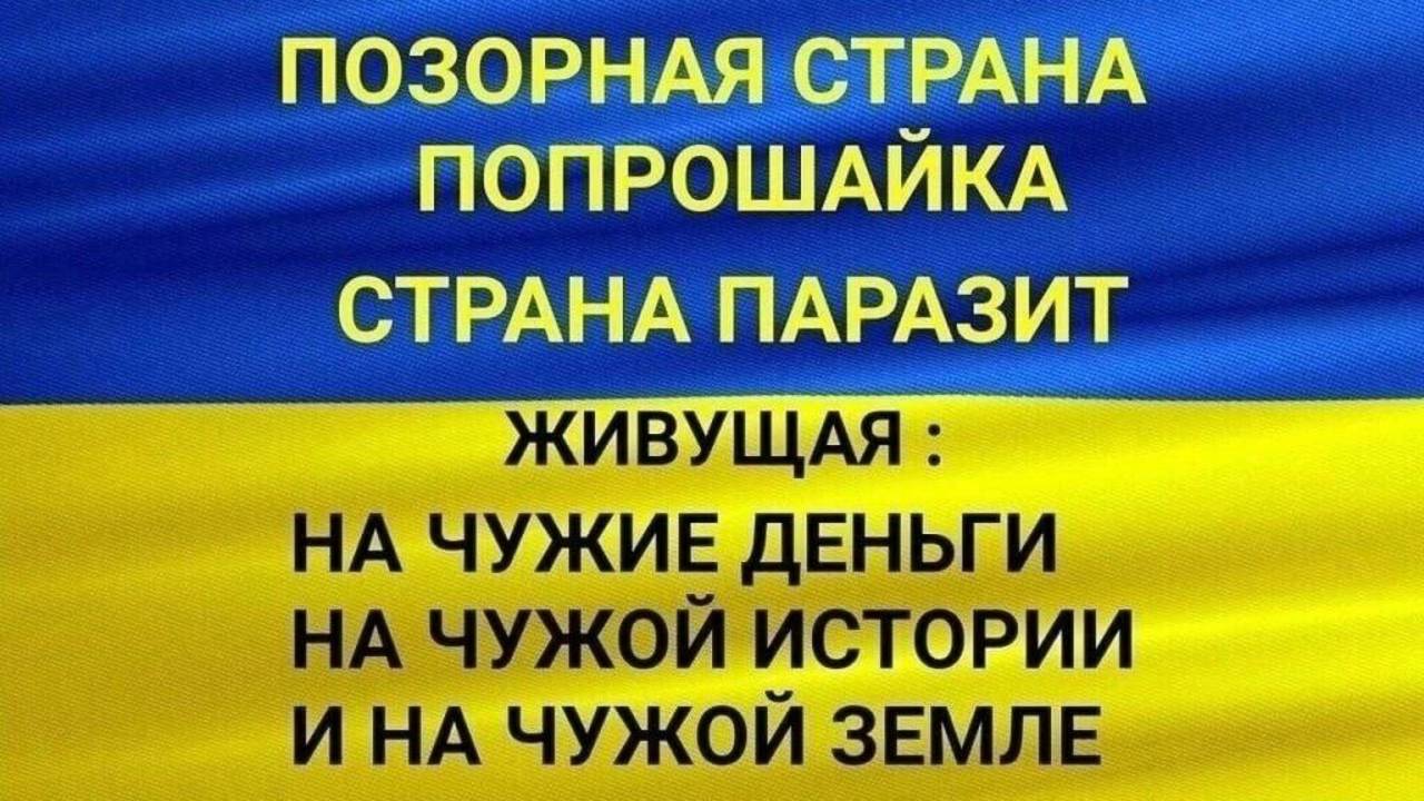 🔴На хуторе Окраїна собралось стадо и требует хватит воровать😆🔴