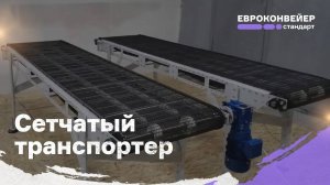 Сетчатый транспортер для пищевой промышленности