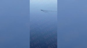 Молния в Сургуте? Какие сургутяне не парятся по поводу погоды?