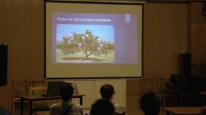 Марокко: легенды, истории и краски