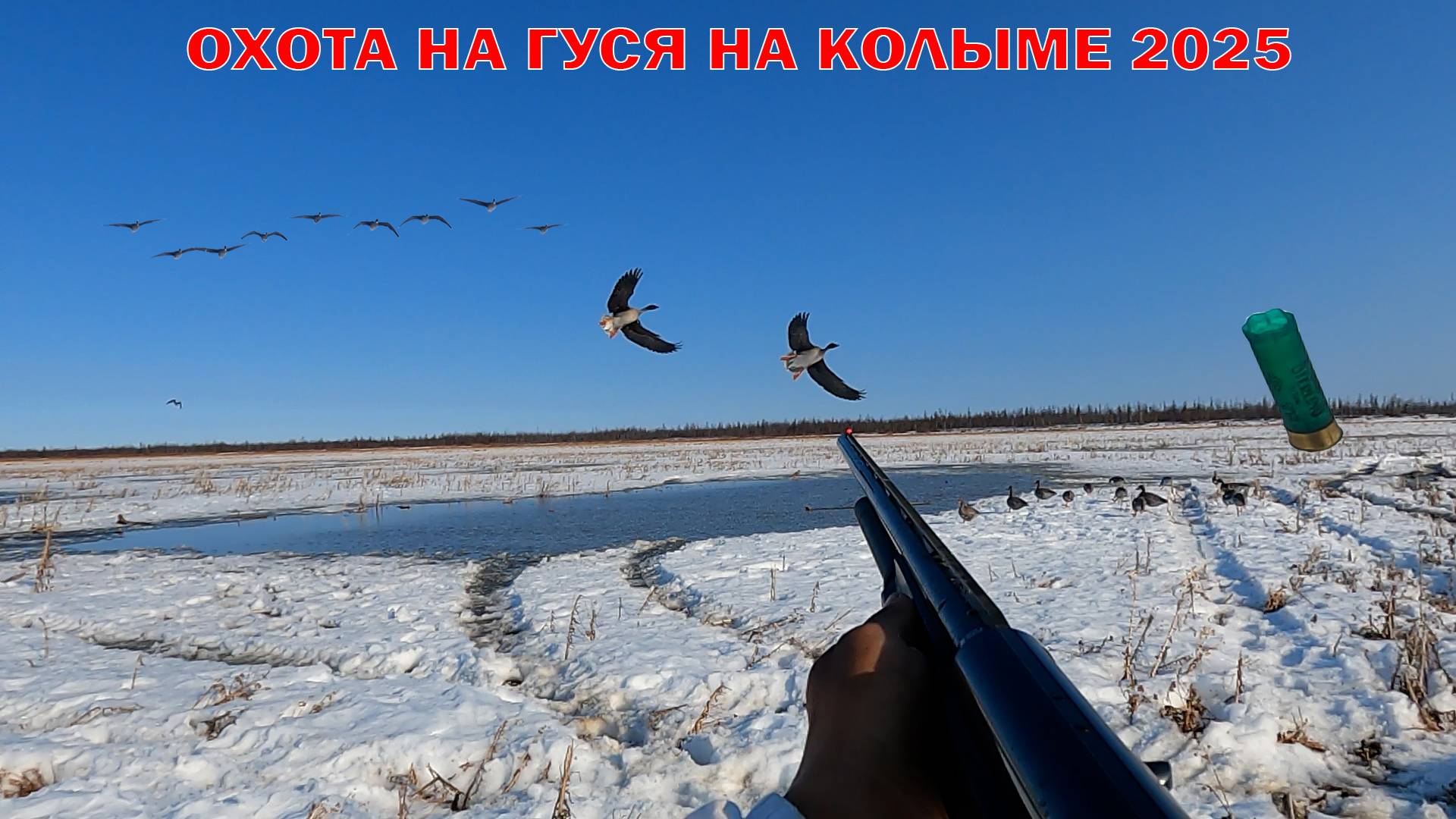 ОХОТА НА ГУСЯ НА КОЛЫМЕ 2025