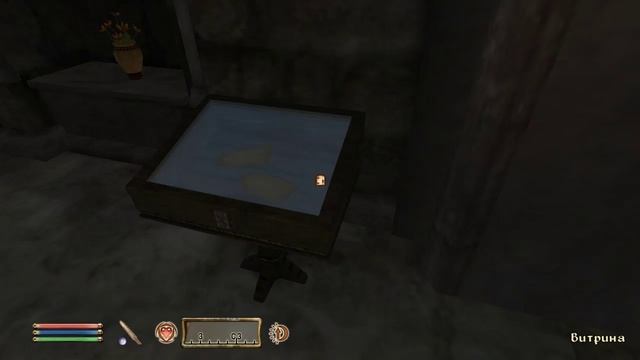 The Elder Scrolls IV (МС) часть 15