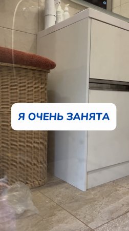 да да😂😂😂
Артикул на WB #269153142
Ozon #1740810271
Этот пенный очиститель - мое спасение от грязи