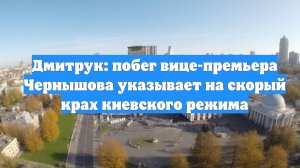 Дмитрук: побег вице-премьера Чернышова указывает на скорый крах киевского режима