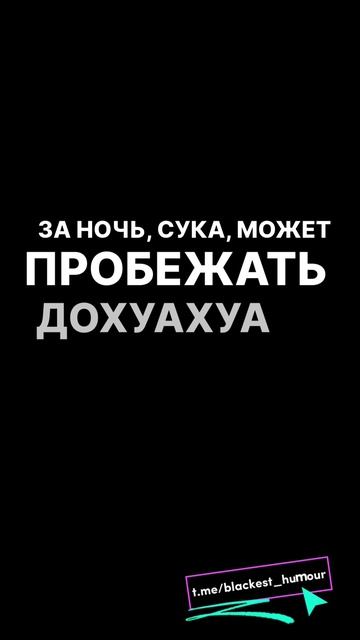 Где мой чихуахуа? Как далеко могут они убежать? Прикольная цитата Джейсона Стэтхэма 😂👍
