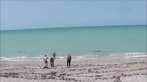 Сводка погоды за 16.06.25 с пляжа Любимовка-2