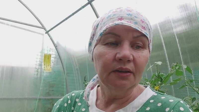Вот я и дома. Готовлю вкусняшки. Заливает нас...