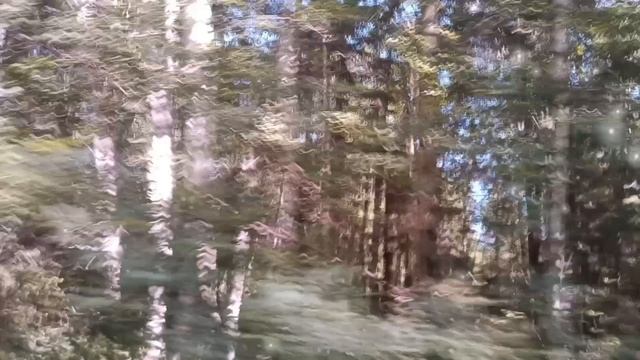 СКОРО СИНЕГОРЬЕ. ЕДЕМ ЧЕРЕЗ РЕКУ КОБРА
