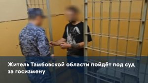 Житель Тамбовской области пойдёт под суд за госизмену