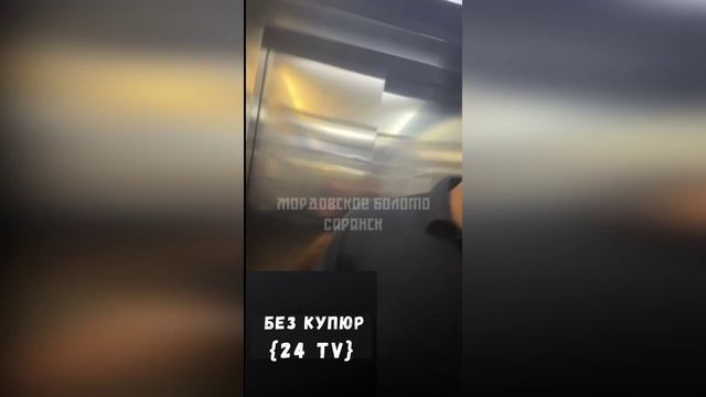 Дикарь из Саранска поплатился за идиотские поступки. При задержании обоссался