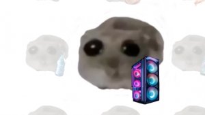 20-06-2025