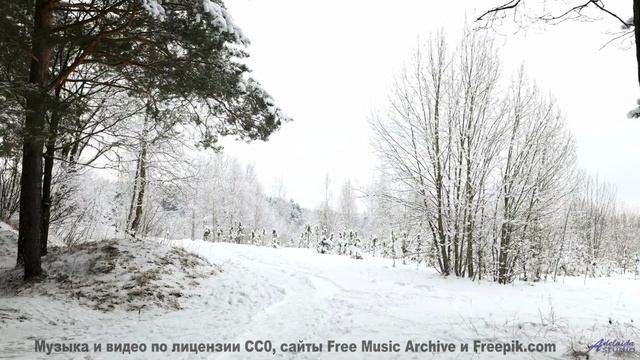 Видео, которое можно смотреть только в состоянии невесомости - испытайте! - Nowhere to Hide -- Steve