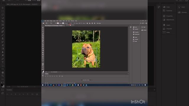 Белая рамка на фото придает фотографиям законченный вид!