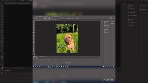 Белая рамка на фото придает фотографиям законченный вид!