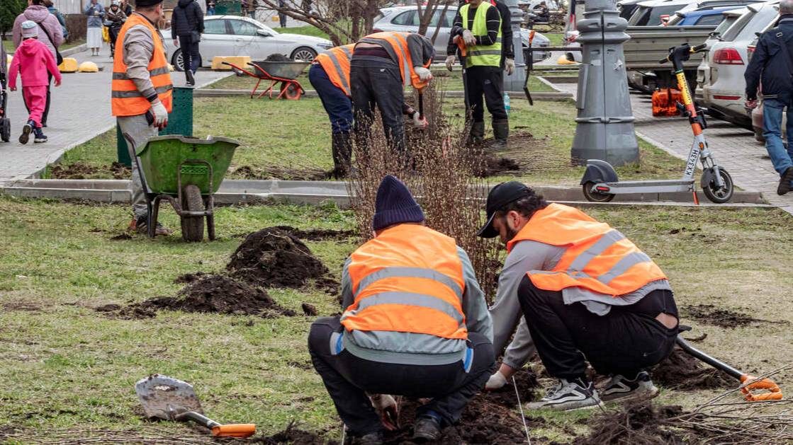 Свыше 6 млн мигрантов въехали в Россию за 2024 год