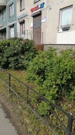 Гуляю по стадиону 24