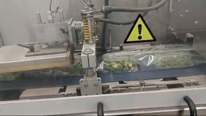 Упаковочная линия "ULMA FM 305"