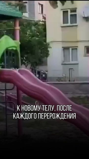 Поддерживаем вас Юмором каждый день!