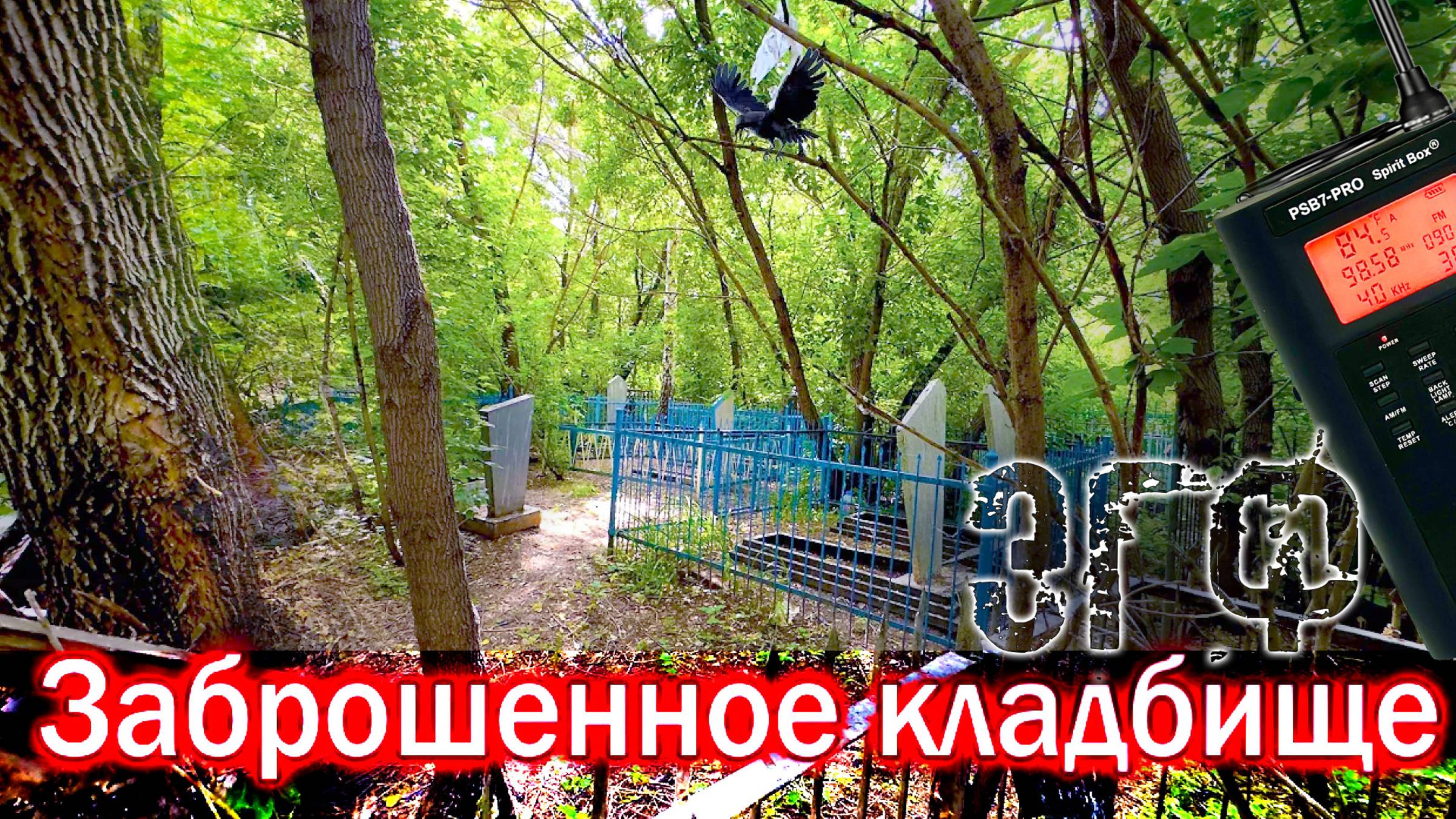 Немецкое заброшенное кладбище, открывает тайны. Не ожидал такого увидеть.  ЭГФ на кладбище.