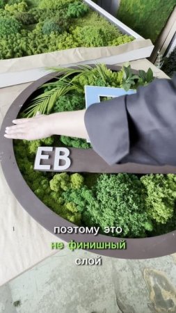 Панно с логотипом из мха и растений с подсветкой для компании Еврострой