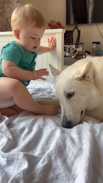 Наши лучшие няньки: FIFA-Arizona IZBB