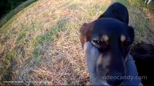 счатье бывает