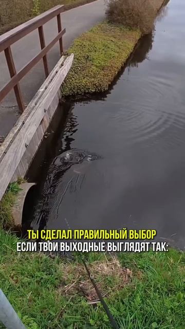 А КАК ОТДЫХАЕТЕ ВЫ? 😁🎣

#gurza #gurzahooks #рыбалка #щука #фидер #спиннинг #карп