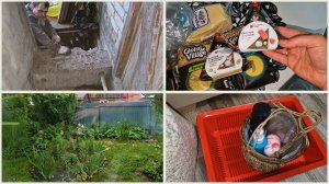Пробуем ОНИГИРИ. Покупки для животных, продукты и косметика. Работы с крыльцом