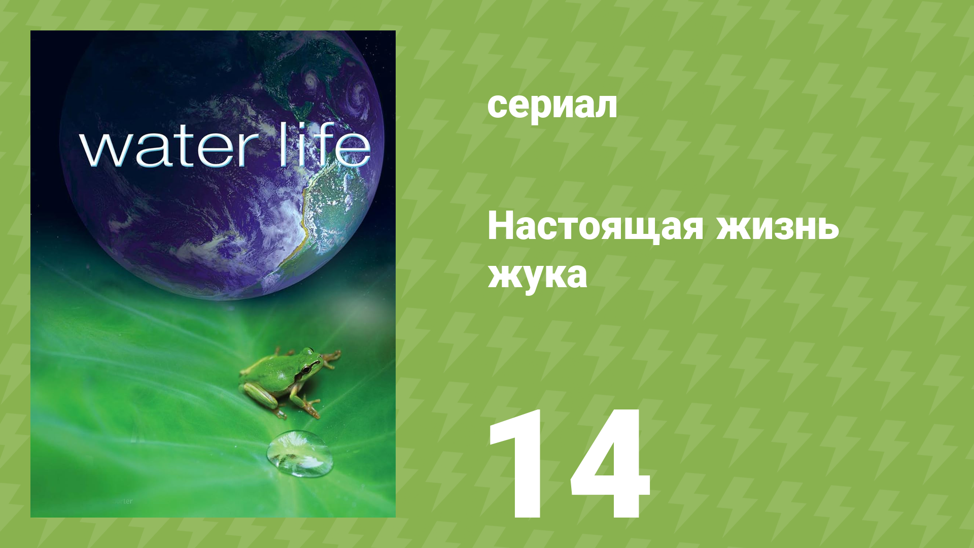 Водная жизнь 14 серия «Солёные леса» (документальный сериал, 2009)
