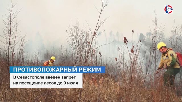 В Севастополе ввели запрет на посещение лесничества  до 9 июля
