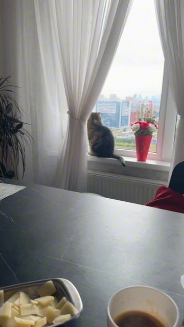 УТРЕННИЙ КОФЕ