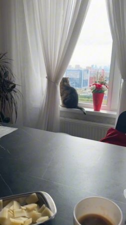 УТРЕННИЙ КОФЕ