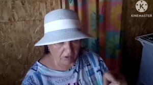 мы родились в Сибири//на те же грабли//обзор канала