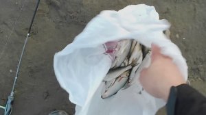 Ловля ельца на спиннинг Dayo Liropus 1.8м 0,2-0,8г