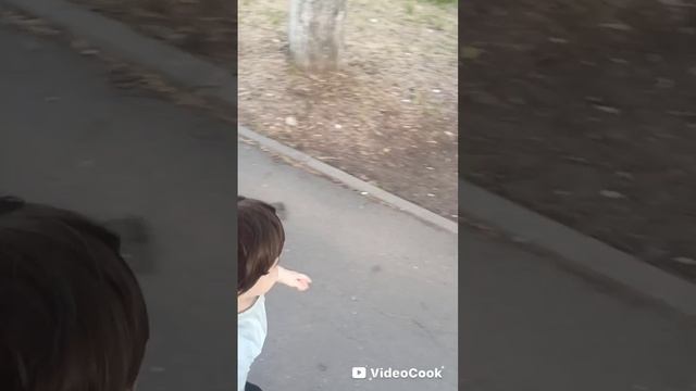 Жизнь с двойняшек