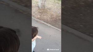 Жизнь с двойняшек
