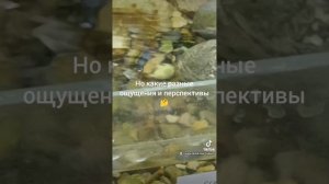 жизнь такая штука непредсказуемая...🐢