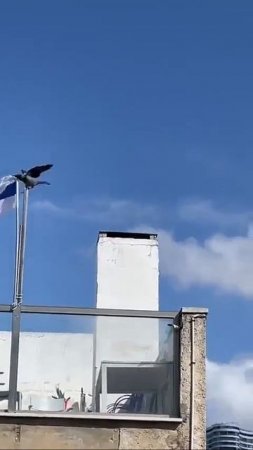 😀😃😄😁😆🤣ФАНТАСТИКА😅🤣😂 ВОРОНА СНИМАЕТ🫠😉😊🥲 ИЗРАИЛЬСКИЕ ФЛАГ И БРОСАЕТ🤔🤫🫣😬😮💨